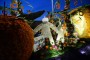 Thumbs/tn_Bloemencorso 2015 211.jpg
